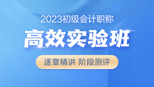 2023初級會(huì)計(jì)高效實(shí)驗(yàn)班 18大配套習(xí)題 全力備考 購課即學(xué)>