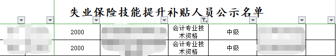 恭喜中級(jí)會(huì)計(jì)考生 拿下證書(shū)可領(lǐng)取千元補(bǔ)貼！