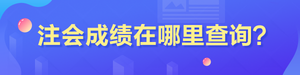 山東省注冊會計師成績在哪里查??？