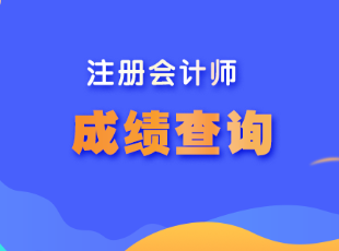 注會考試成績什么時候出？