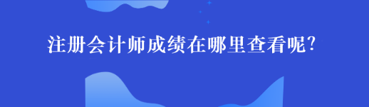 注冊會計師成績在哪里查看呢？44