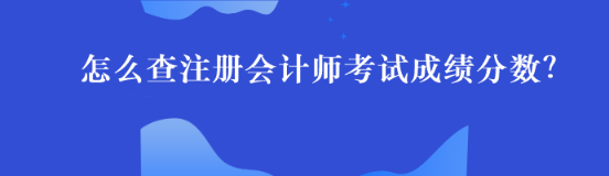 怎么查注冊會計師考試成績分數(shù)？