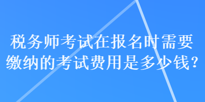 稅務師考試在報名時需要繳納的考試費用是多少錢？