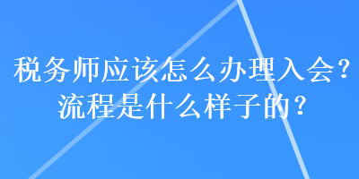 稅務(wù)師應(yīng)該怎么辦理入會？流程是什么樣子的？