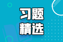 2023初級(jí)審計(jì)師《審計(jì)理論與實(shí)務(wù)》練習(xí)題精選（二十三）