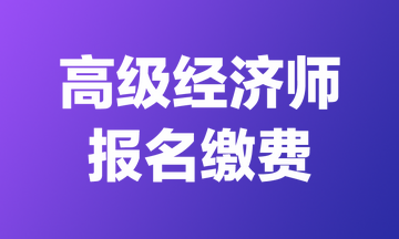 高級經(jīng)濟師報名繳費