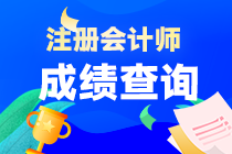 注會考試成績查詢什么時間？