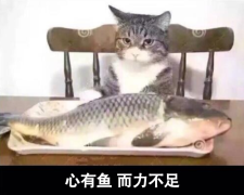 魚