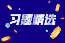 2024初級審計師《審計理論與實務(wù)》練習(xí)題精選