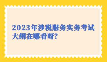 2023年涉稅服務(wù)實務(wù)考試大綱在哪看呀？