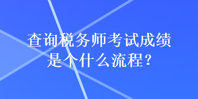 查詢稅務(wù)師考試成績(jī)是個(gè)什么流程？