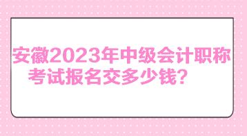 安徽2023年中級會計(jì)職稱考試報(bào)名交多少錢？