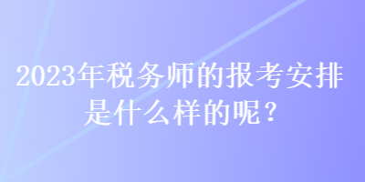 2023年稅務師的報考安排是什么樣的呢？