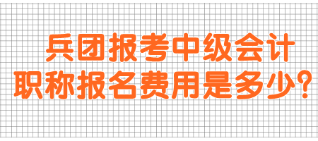 兵團報考中級會計職稱報名費用是多少？