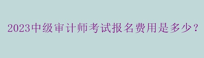 2023中級審計師考試報名費用是多少？