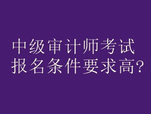 中級審計師考試報名條件要求高嗎？