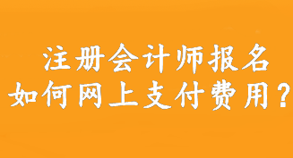 注冊(cè)會(huì)計(jì)師報(bào)名如何網(wǎng)上支付費(fèi)用？