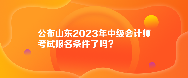 公布山東2023年中級(jí)會(huì)計(jì)師考試報(bào)名條件了嗎？