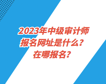 2023年中級審計師報名網(wǎng)址是什么？在哪報名？