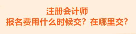 2023年注冊會計師報名費用什么時候交的??？