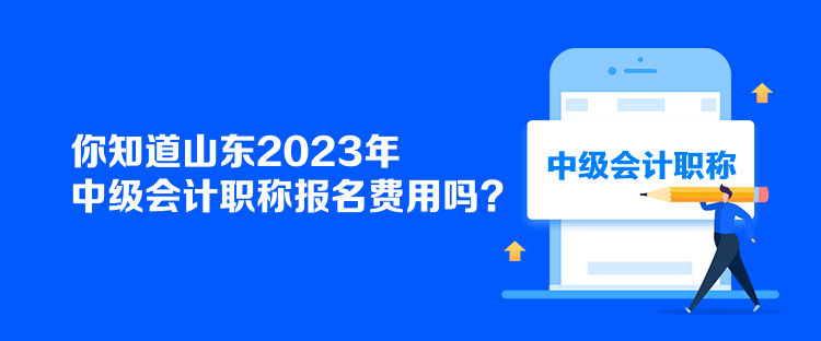 你知道山東2023年中級(jí)會(huì)計(jì)職稱報(bào)名費(fèi)用嗎？