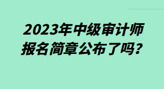 2023年中級審計師報名簡章公布了嗎？