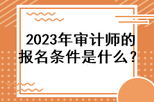 2023年審計師的報名條件是什么？