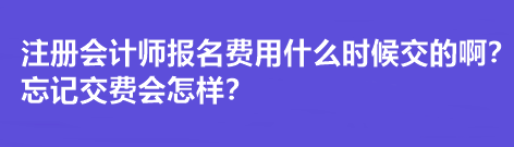 注冊(cè)會(huì)計(jì)師報(bào)名費(fèi)用什么時(shí)候交的啊？忘記交費(fèi)會(huì)怎樣？