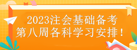 2023注會(huì)基礎(chǔ)備考第八周各科學(xué)習(xí)安排！