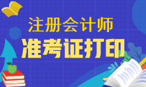 注冊(cè)會(huì)計(jì)師考試現(xiàn)在可以打印2023年準(zhǔn)考證了嗎？