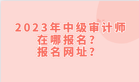 2023年中級(jí)審計(jì)師在哪報(bào)名？報(bào)名網(wǎng)址？