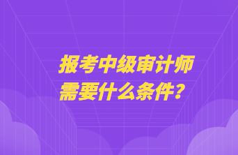 報考中級審計師需要什么條件？