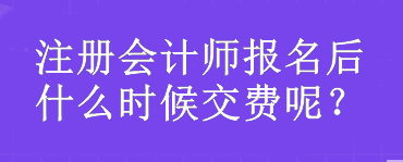 注冊(cè)會(huì)計(jì)師報(bào)名后什么時(shí)候交費(fèi)呢？