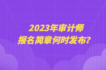 2023年審計(jì)師報(bào)名簡(jiǎn)章何時(shí)發(fā)布？