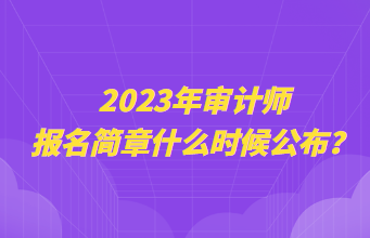 2023年審計(jì)師報(bào)名簡(jiǎn)章什么時(shí)候公布？