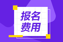 高級(jí)經(jīng)濟(jì)師報(bào)名費(fèi)用