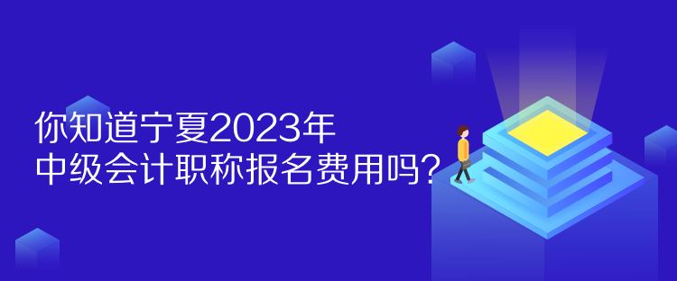 你知道寧夏2023年中級(jí)會(huì)計(jì)職稱報(bào)名費(fèi)用嗎？