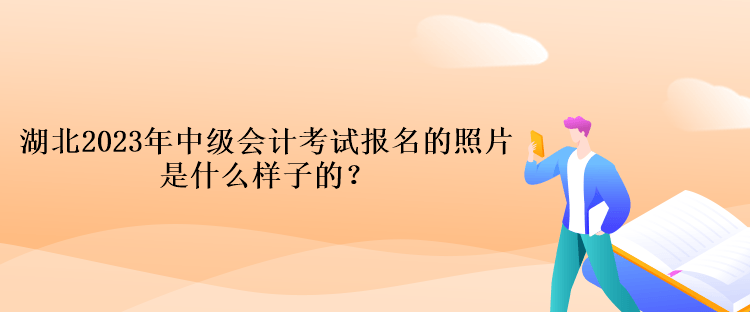 湖北2023年中級會計考試報名的照片是什么樣子的？