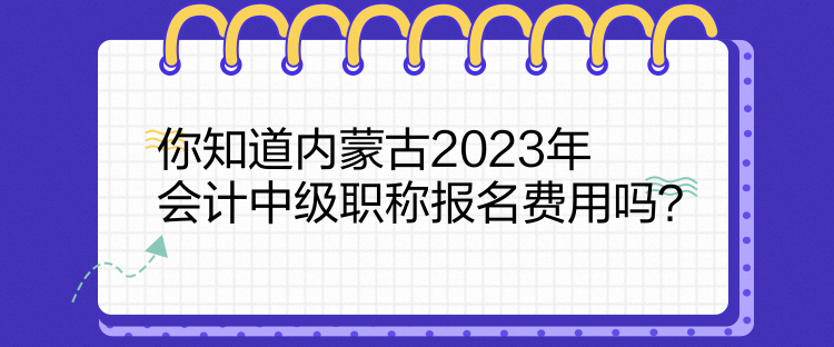 你知道內(nèi)蒙古2023年會計中級職稱報名費用嗎？