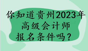 你知道貴州2023年高級(jí)會(huì)計(jì)師報(bào)名條件嗎？