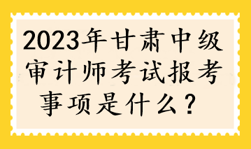 2023年甘肅中級(jí)審計(jì)師考試報(bào)考事項(xiàng)是什么？