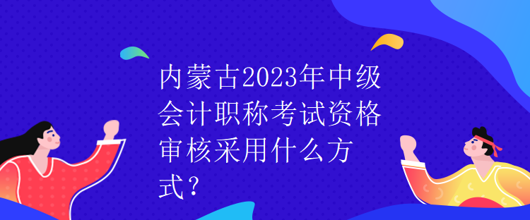 內(nèi)蒙古2023年中級(jí)會(huì)計(jì)職稱考試資格審核采用什么方式？