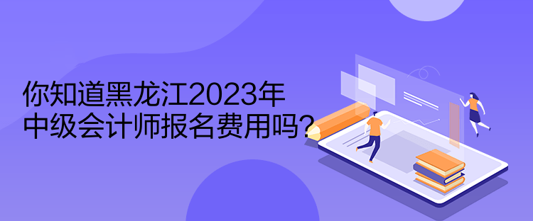 你知道黑龍江2023年中級(jí)會(huì)計(jì)師報(bào)名費(fèi)用嗎？