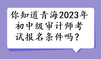 你知道青海2023年初中級審計師考試報名條件嗎？