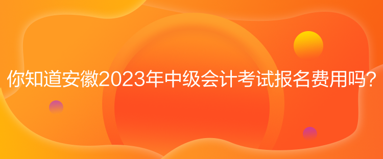 你知道安徽2023年中級(jí)會(huì)計(jì)考試報(bào)名費(fèi)用嗎？