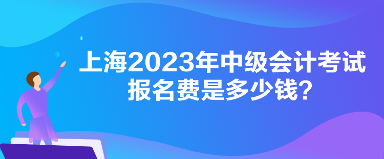 上海2023年中級(jí)會(huì)計(jì)考試報(bào)名費(fèi)是多少錢？