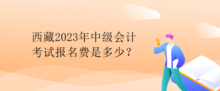 西藏2023年中級(jí)會(huì)計(jì)考試報(bào)名費(fèi)是多少？