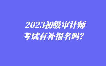 2023年初級審計師考試有補報名嗎？