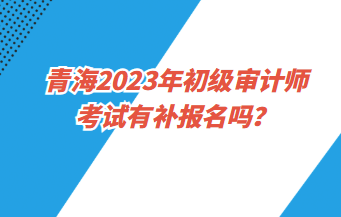 青海2023年初級審計師考試有補報名嗎？