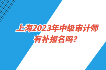 上海2023年中級(jí)審計(jì)師有補(bǔ)報(bào)名嗎？